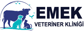 Şafak Veteriner